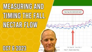 Measuring and Timing the Fall Nectar Flow - Jacksonville FL Zone 9a