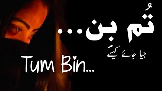 Tum Bin Jiya Jaye Kaise | Poetry  | Tum Bin | Lyrics | Urdu | Hindi