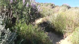 Pěší turistika v úžasných horách nad oceánem Big Sur #pozdrav #bigsur #turistika #california #hiker