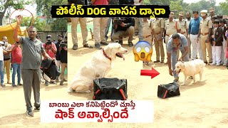 See How Police Trained Dogs  find Bombs With Smell Senses | Police Commemoration | Nellore  | NTIMES