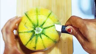 खरबूज से घर पर शरबत एंड आइस-क्रीम कैसे बनाएं How to make Sarvat with muskmelon?