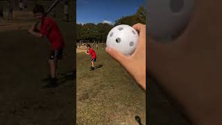 Cheap wiffleball vs metal bat