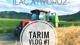 TARIM VLOG #1 | İLAÇ NASIL ATILIR ? | YENİ HEYECANLAR