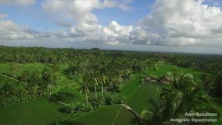 Magic in Ubud