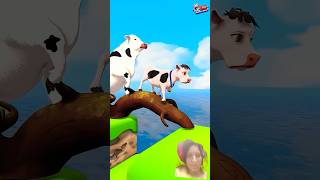 Cow video #shorts #ytshots #funny #trending #comedy #viral