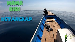 Slow jigging di laut dalam dapat babon tenggiri