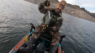 Lake Mead, Native Titan 10.5. Not as good as a week ago but managed a few. January skunk is dead.