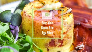 Sous Vide Bacon Brie Egg Bites