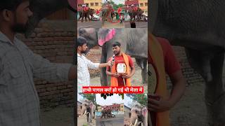 मेले में हाथी पागल क्यों हो गई थी पीलवान ने कर दिए खुलासा #hathi #viralnews #shortsvideo #viralvideo