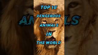 Top 10 Dangerous animals in the world.....#shorts @HistoryHaven06