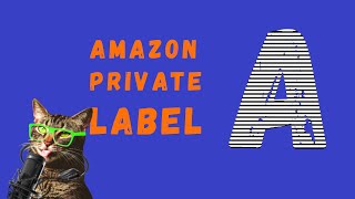 How to shop Amazon private label brands and get great deals