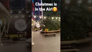 Uptown Mall | BGC Taguig #christmas #alliwantforchristmasisyou