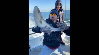 I caught a big Striped bass and we wrestled! #fishing  #funnyfishingvideo