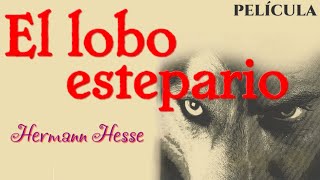 El lobo estepario  (Hermann Hesse) - Película