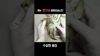 게의 몸은 반으로 접힌 상태입니다 ㄷㄷ #shorts