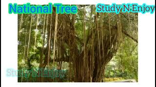 National Tree of India - A short description