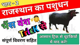 राजस्थान का पशुधन भैंस वंश सम्पूर्ण जानकारी + Tricks से याद करें (Part-2) | Rajasthan ka Pashudhan