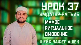 37 Урок. ‘Умдатур-Рáгъиб. Малое ритуальное омовение. Шейх Зафер Ашек.