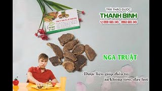 Nga Truật | Công dụng của nga truật