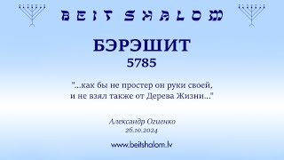 БЭРЭШИТ 5785. "...как бы не простер он руки своей, и не взял также от Дерева Жизни..." (26.10.2024)