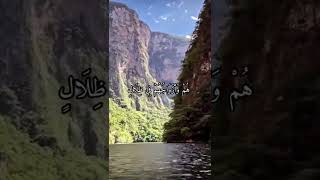 واتس اب قران كريم القارئ احمد العجمي سوره يس