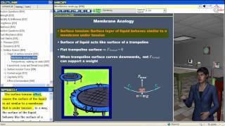 FluidStatics_SurfaceTension0.mp4