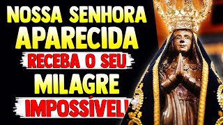 NOSSA SENHORA APARECIDA: PROTEÇÃO, FÉ E DEVOÇÃO PROFUNDA - MÃE PROTEJA