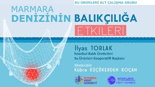 Marmara Denizinin Balıkçılığa Etkileri