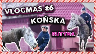 VLOGMAS #6 NASZA KOŃSKA RUTYNA! LIWIA WARIUJE NA OKLEP