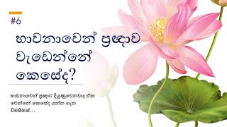 භාවනාවෙන් ප්‍රඥාව වැඩෙන්නේ කෙසේද? - Wisdom and Meditation