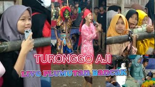 Turonggo aji Bamban live Plumutan Bancak Kabupaten Semarang@delisatv5272