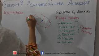 Selective Beta Adrenergic Receptor Antagonist