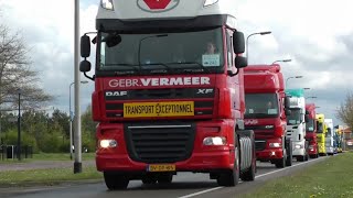 Reverse Trucking VEVOA, VOLVO, SCANIA, MERCEDES BENS, MAN, TAYO