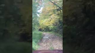 Wolf Den State Park- Coal Mine Road Part 2