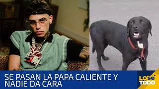 NADIE DA LA CARA SOBRE EL PARADERO DEL PERRO DE LUAR LA L