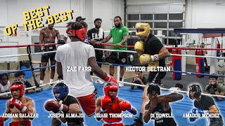 4K Sparring Footage Of The BEST Boxers In The USA Between 139-203 LBS!