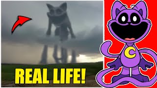 CATNAP WAS CAUGHT IN REAL LIFE! POPPY PLAYTIME CHAPTER 3 in Minecraft REAL LIFE