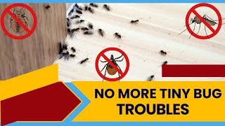 How To Get Rid Of Tiny Bugs In House? (100% Working Tricks)