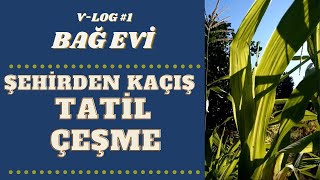 BAĞ EVİ | ŞEHİRDEN KAÇANLAR | TATİL | ÇEŞME | VLOG #1