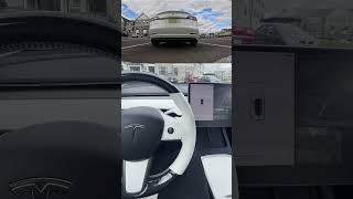 Tesla Model 3 Auto Park: Straight Back #Tesla #Model3 #Autopark