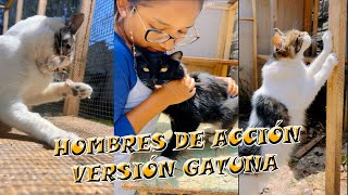 HOMBRES DE ACCIÓN VERSIÓN GATUNA