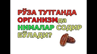 РЎЗА ТУТГАНДА ОРГАНИЗМДА НИМАЛАР РЎЙ БЕРАДИ? Ochlik mo'jizasi va uning 5 bosqichi