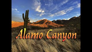 Alamo Canyon