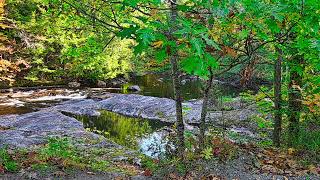 Vermont Fall Foliage Photos 11 9 24