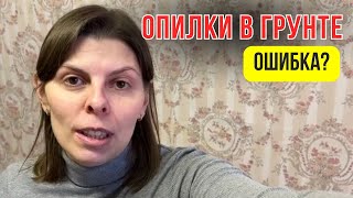 ОПИЛКИ В ГРУНТЕ | РАССАДА НА ПРОДАЖУ | Высадила томаты, перцы и баклажаны | Брянск