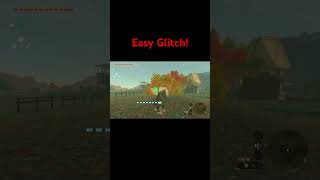 Easy Totk Glitch!