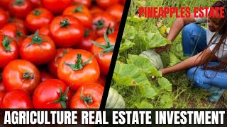 LUCRATIVE INVESTMENT AGRICULTURE REAL ESTATE || PINEAPPLES ESTATE FOR SALE IN IMOTA IKORODU