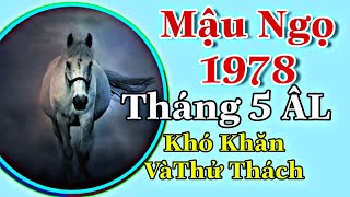 Mậu Ngọ 1978 Tháng 5 Gặp Nhiều khó Khăn Hơn Nên Phải Có Sự Chuẩn Bị kỹ Càng