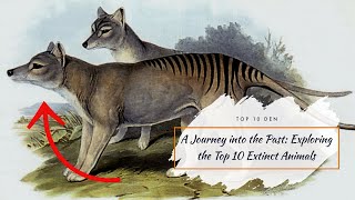 A Journey into the Past: Exploring the Top 10 Extinct Animals