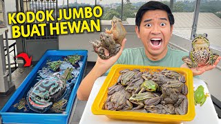 BORONG KODOK JUMBO BUAT HEWAN DI RUMAH! NGERI BANGET MAKANNYA!